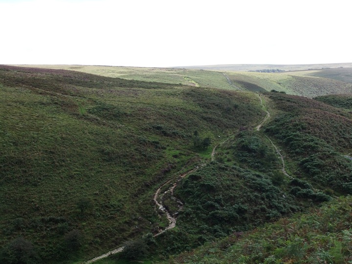 Badgeworthy water (34)