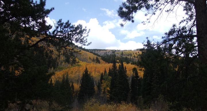 Monarch Crest trail (62)