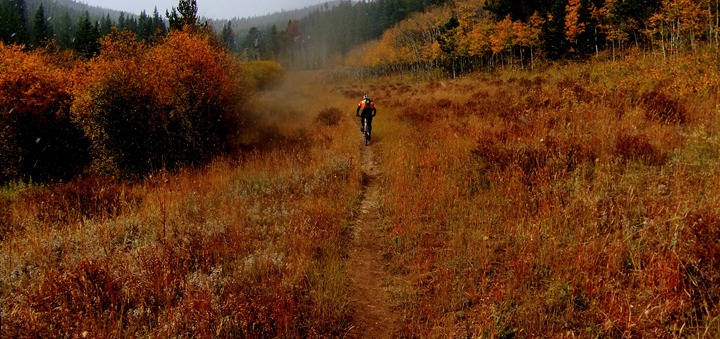 Nederland with shep (10)[6]