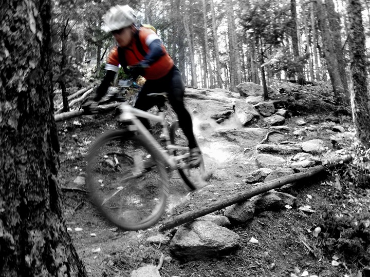 Nederland with shep (24)