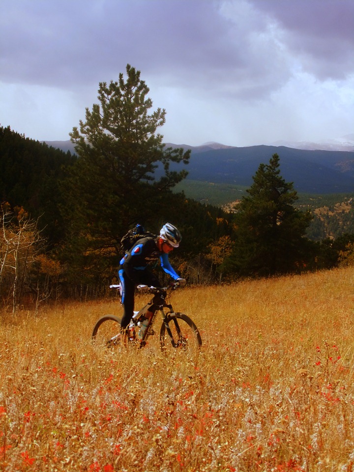 Nederland with shep (28)