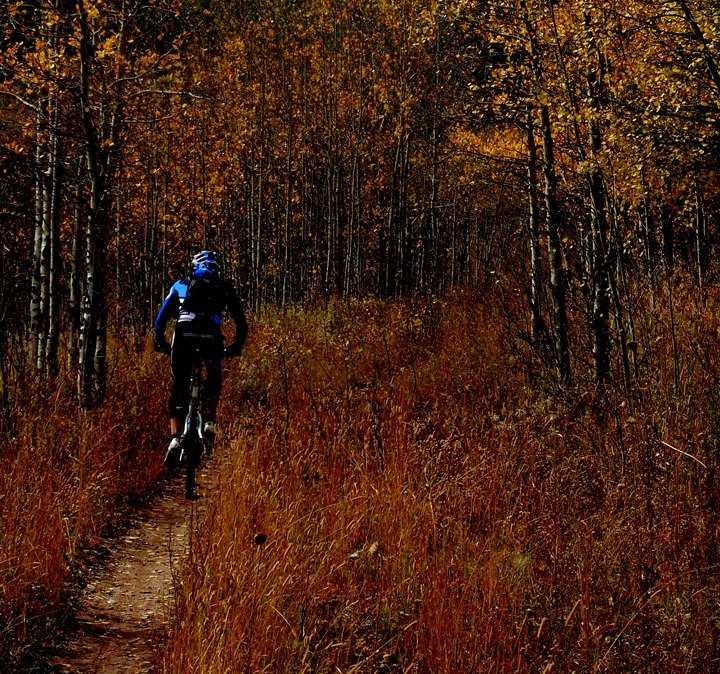 Nederland with shep (5)