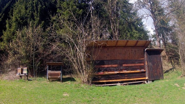 Bee Hives in Vols, Austria