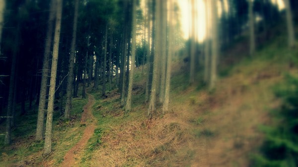 Mutterer Alm Mountain Bike trail 