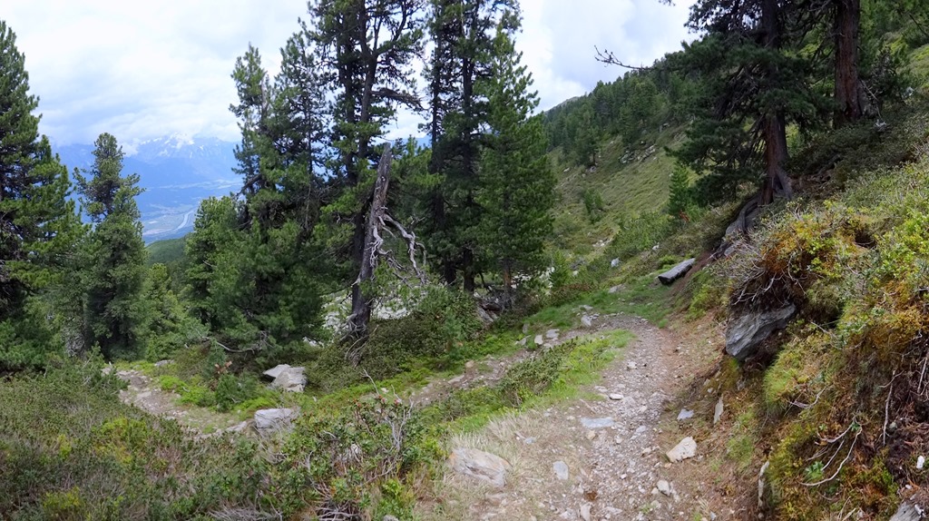 Singletrack on the flanks of the Patscherkofel