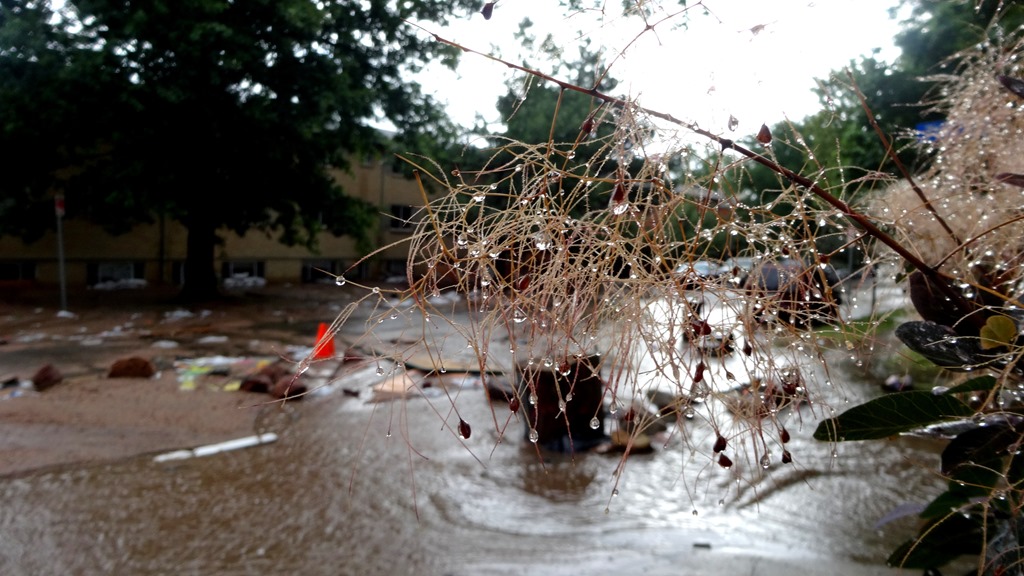 Compared to our immediate neighbours, we got very lucky indeed