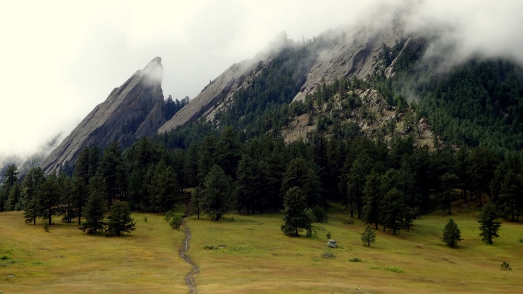 The Flatirons Finally emerged from the mist