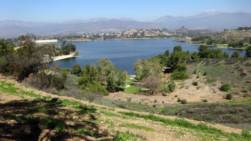 Bonelli Park