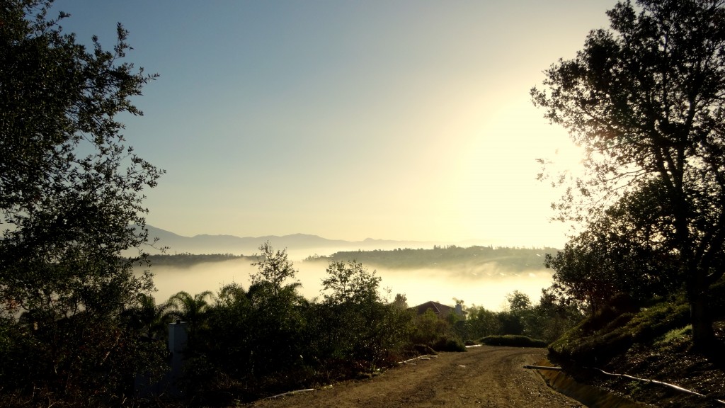 Looking back down into the canyon after climbing out of the fog