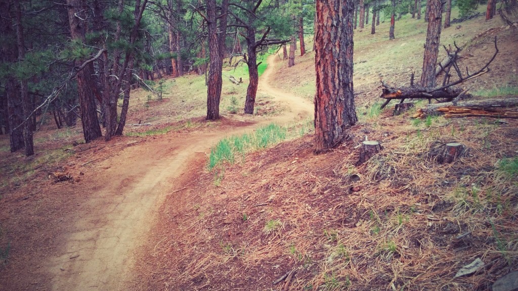 The Betasso Preserve Trails are in great condition