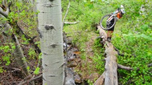 Christa crossing over the creek on the pipeline trail