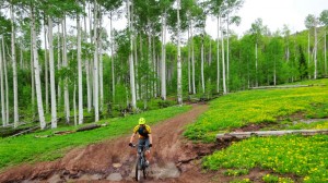 Dustin on one of the numerous creek crossings on Firebox trail