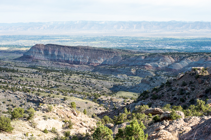 Photo by Eddie Clark. EClark_140831_2194