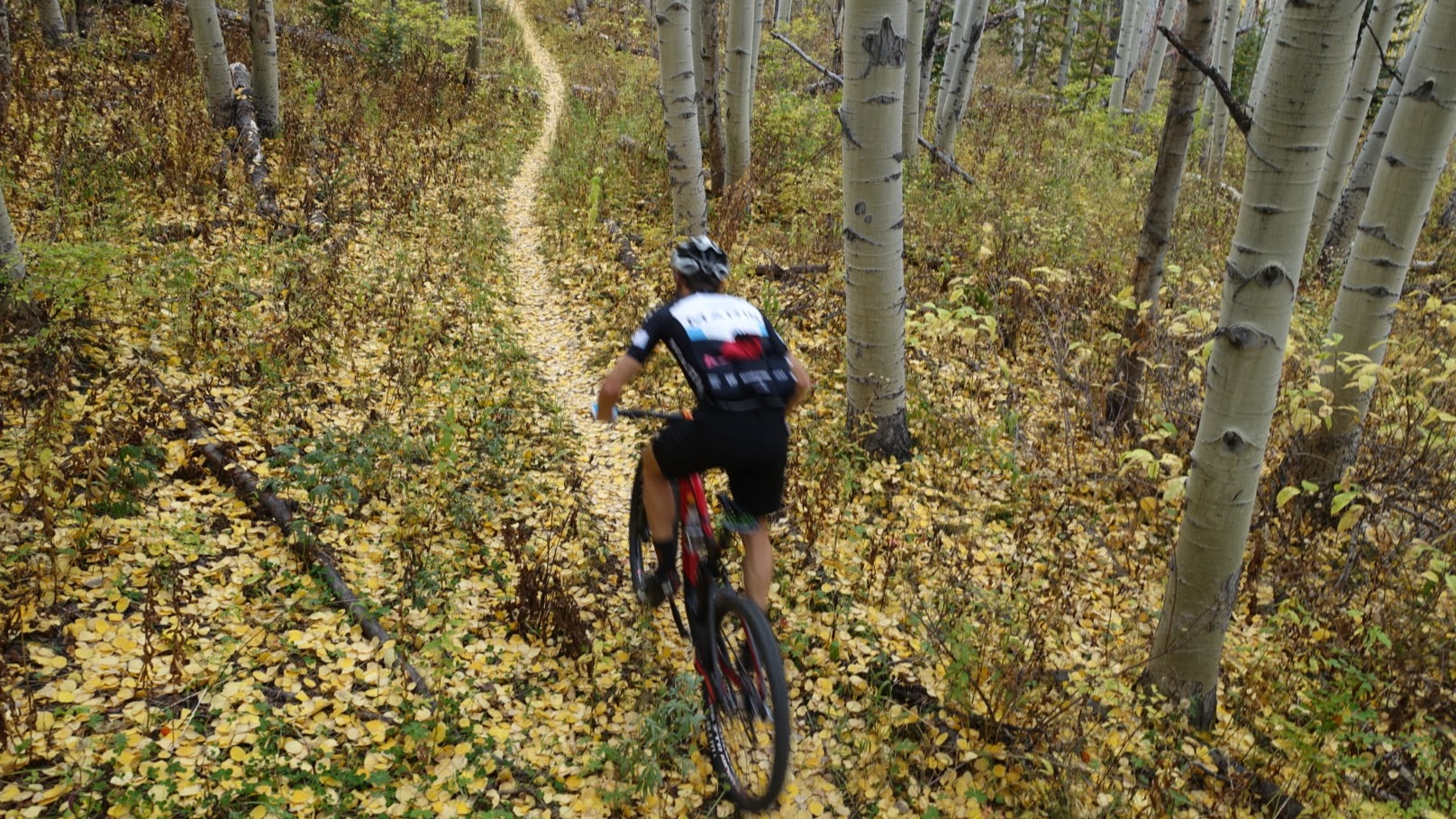This is Colorado. We didn't see any other riders until we descended back into Edwards. NO-ONE else enjoyed this amazing trail on the prime colour changing weekend of the year