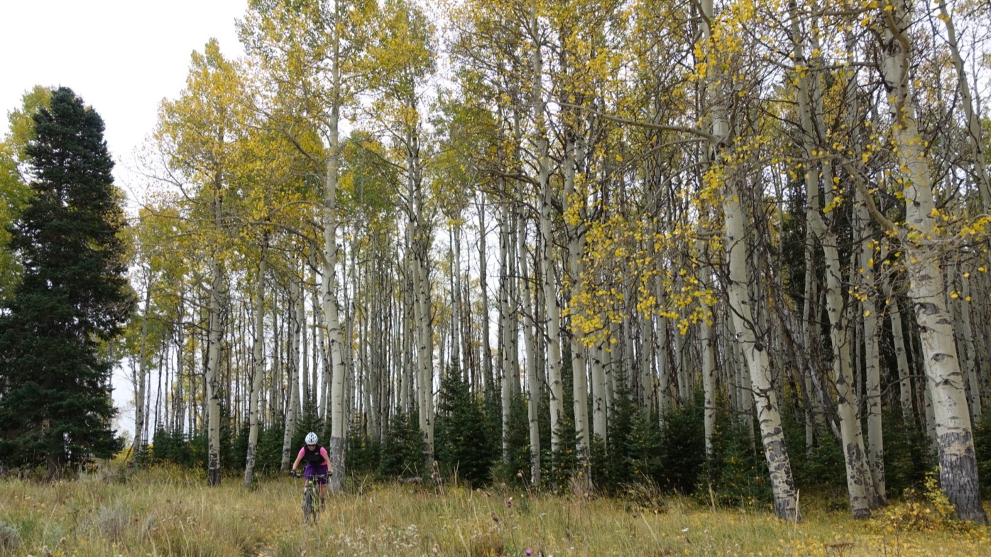 Christa popping out the bottom of the trail with a huge grin on her face. She lives for adrenaline more than she'll ever tell you - sometimes I forget this until we do little things like this. It's awesome.