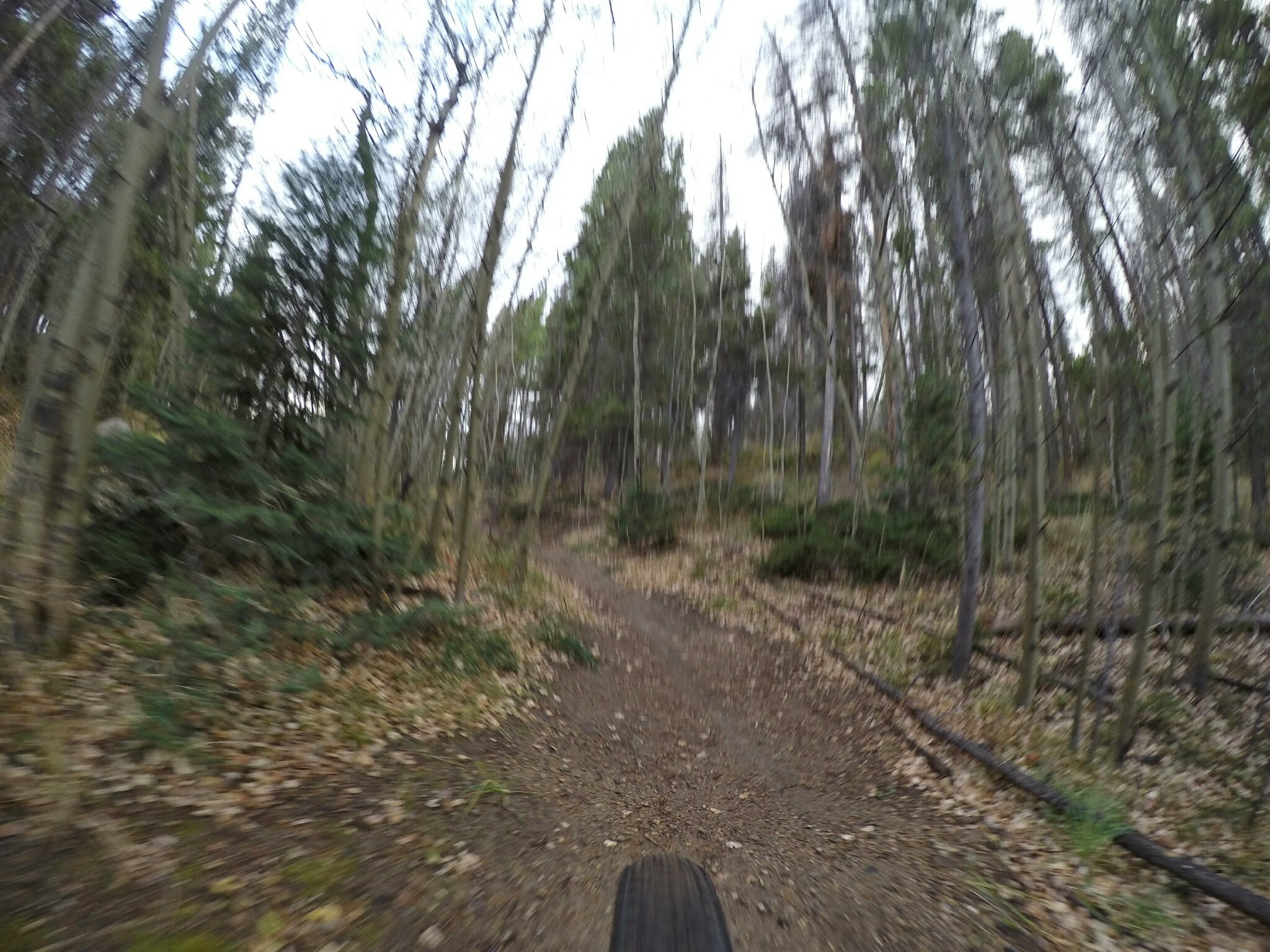 DCIM100GOPROG0050303.